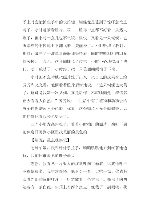 观察小昆虫的作文.docx