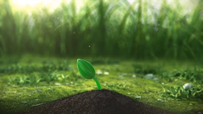 开场视频片头小苗生长发芽开花ppt模板
