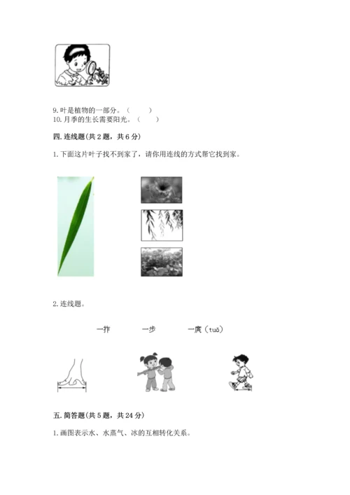 教科版一年级上册科学期末测试卷（典型题）.docx