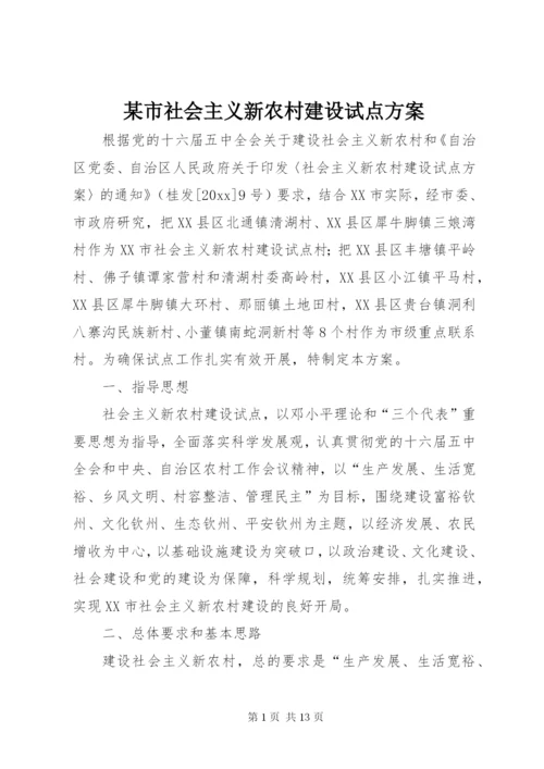 某市社会主义新农村建设试点方案.docx