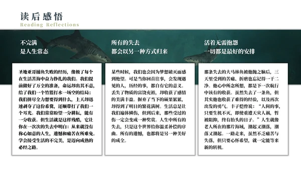 《老人与海》名著导读好书推荐通用PPT模板