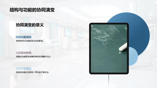 探索细胞之谜