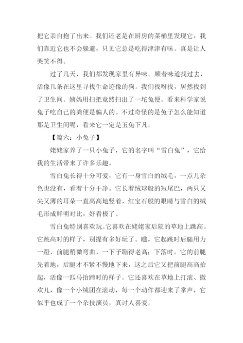 小兔子的作文.docx