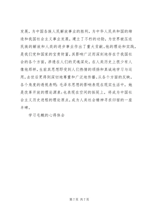 学习毛概课心得体会.docx