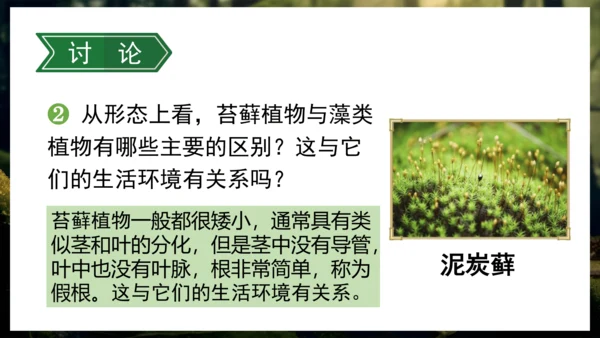 3.1.1 藻类、苔藓和蕨类植物 课件 人教版生物七年级上册(共27张PPT)