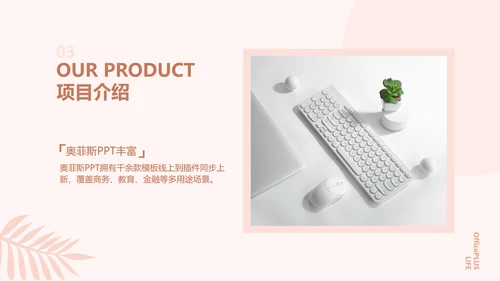 简约欧美风粉色工作汇报计划书PPT