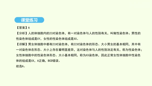 7.2.4人的性别遗传课件-人教版生物八年级下册(共31张PPT)