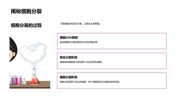 细胞知识讲解PPT模板