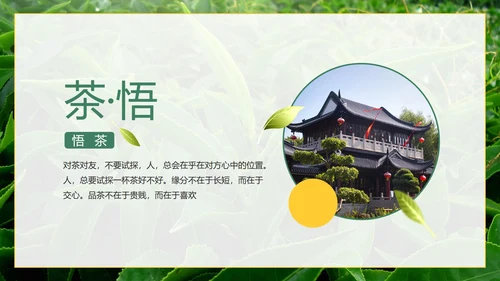 绿色实景茶园茶道科普介绍PPT模板
