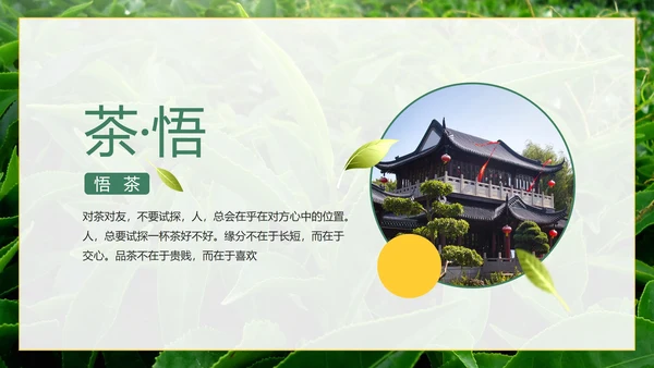 绿色实景茶园茶道科普介绍PPT模板