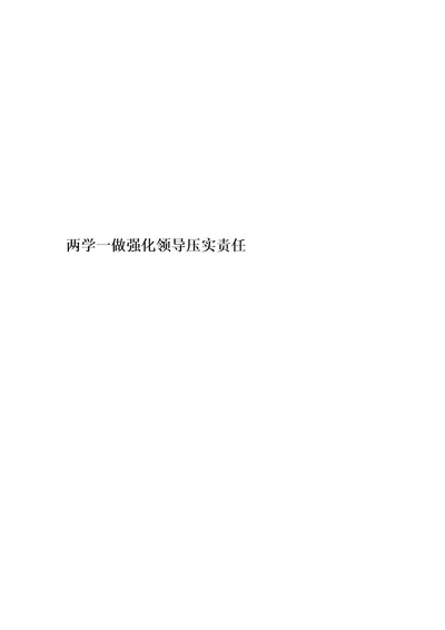 两学一做强化领导压实责任