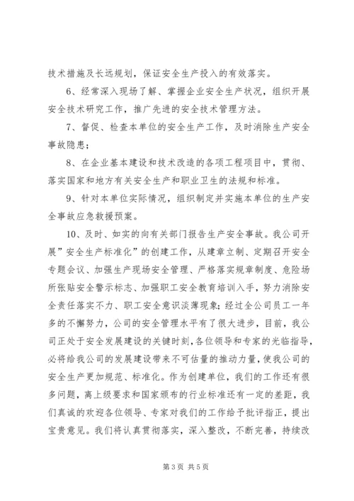 安全标准化评审报告 (2).docx