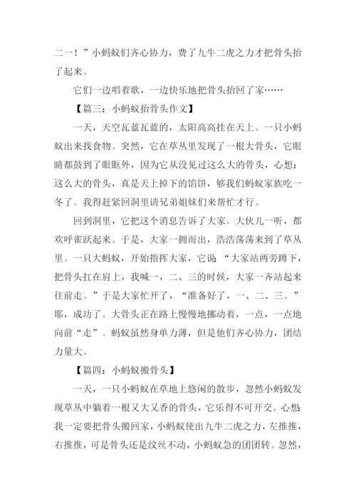 小蚂蚁背骨头的作文.docx