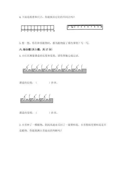 教科版一年级上册科学期末测试卷含答案ab卷.docx