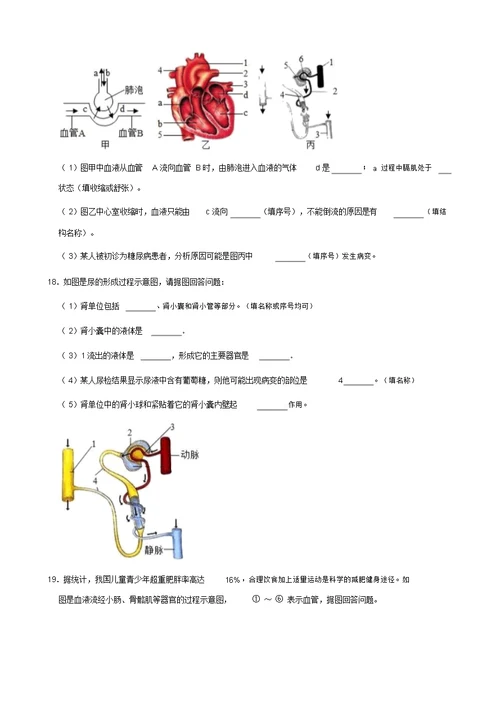 苏科版八年级上册生物第15章人体内平衡的维持测试题(解析版)