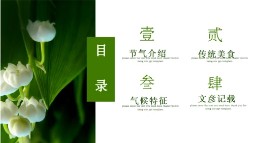 立春节气通用PPT模板