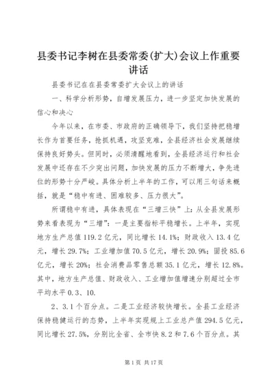 县委书记李树在县委常委(扩大)会议上作重要讲话 (3).docx