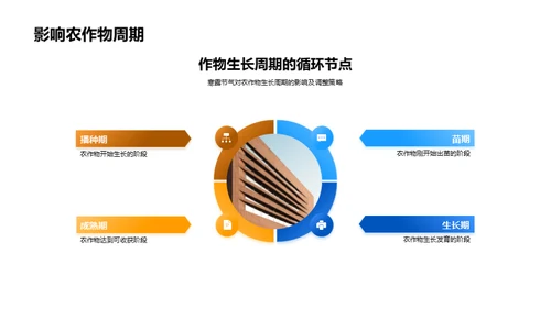 寒露季节的农业策略