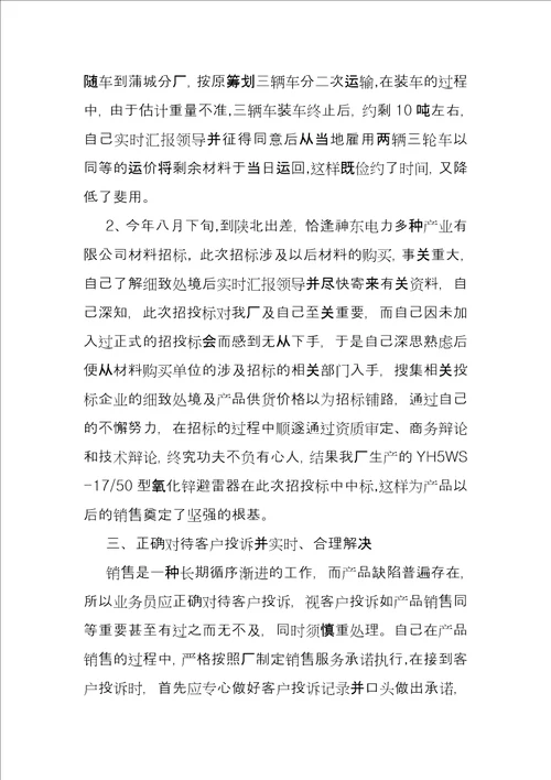 销售个人工作总结3000字