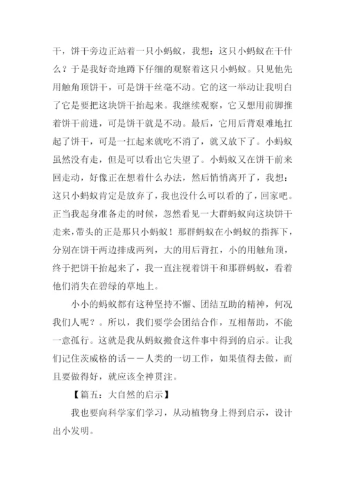 大自然的启示作文450字四年级.docx