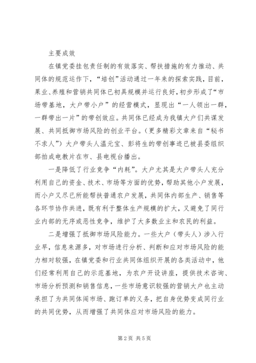某某镇在党员中开展“培创”活动经验材料.docx