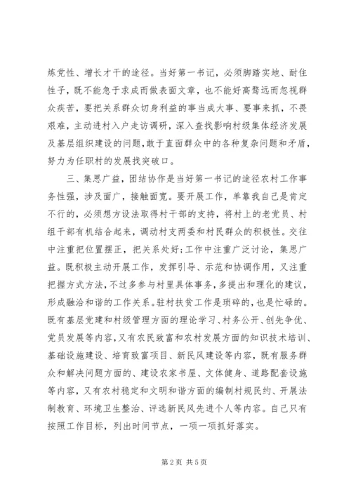 当好驻村“第一书记”经验交流发言材料.docx