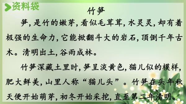 统编版语文二年级下册课文1 语文园地一（第二课时）  课件