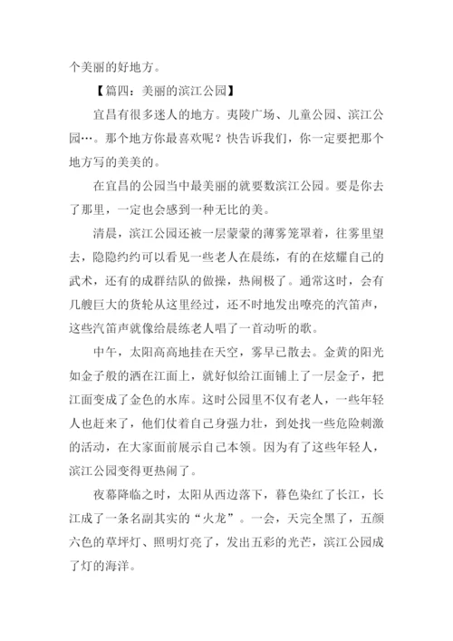 美丽的滨江公园作文.docx