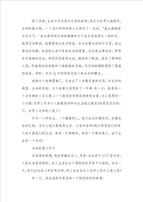 生命的意义优秀作文400字左右