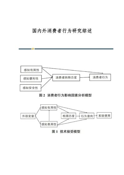 国内外消费者行为研究综述