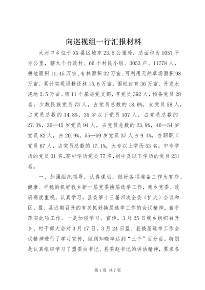 向巡视组一行汇报材料.docx