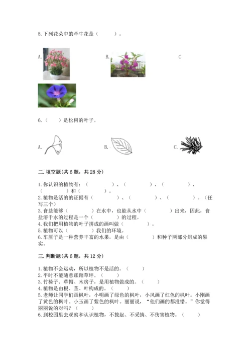 教科版科学一年级上册第一单元《植物》测试卷含答案【突破训练】.docx