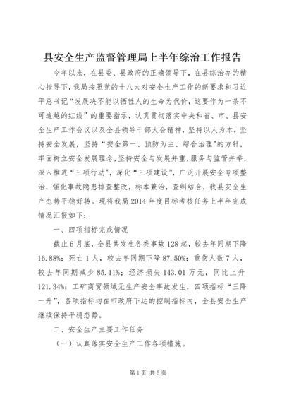 县安全生产监督管理局上半年综治工作报告.docx