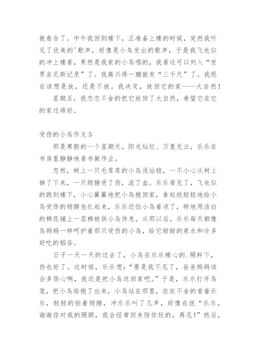 受伤的小鸟作文_18.docx
