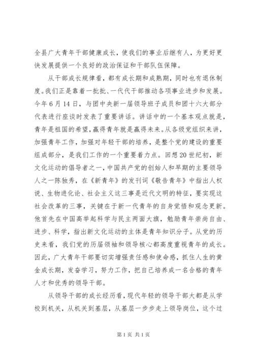 在青年干部座谈会的讲话.docx