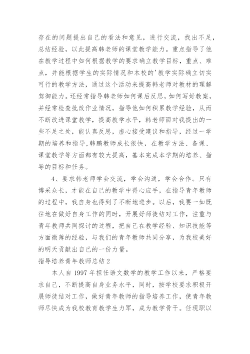 指导培养青年教师总结.docx