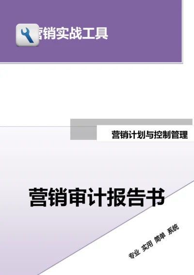 营销审计报告书.doc.docx