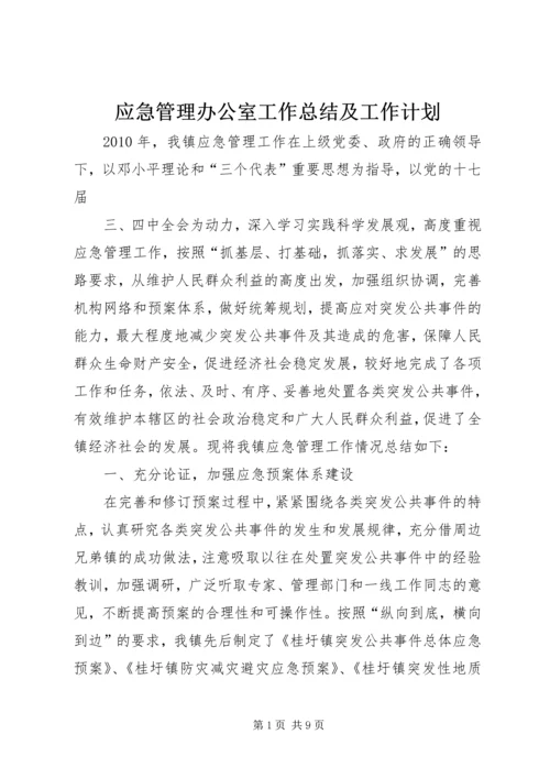 应急管理办公室工作总结及工作计划 (4).docx