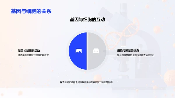 生物学基础讲座PPT模板