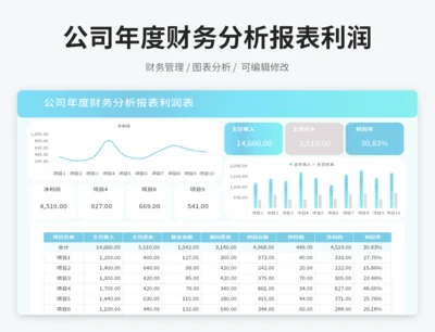 公司年度财务分析报表利润表