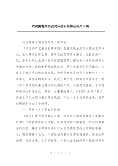 政治掮客苏洪波观后感心得体会范文5篇.docx