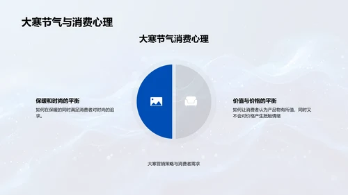 大寒营销策略实施PPT模板