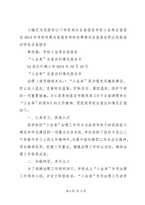 学校小金库自查报告.docx