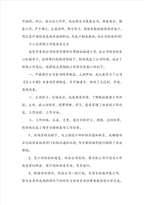 个人试用期工作报告范文