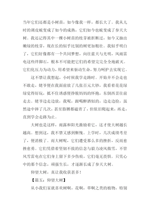 仰望大树作文600字借物抒情.docx