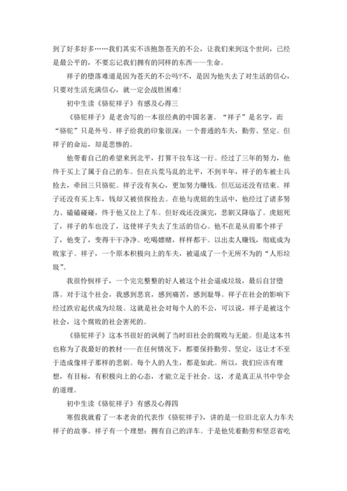 初中生读《骆驼祥子》有感及心得范文.docx