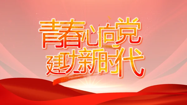红色党支部党员大会年终工作总结PPT