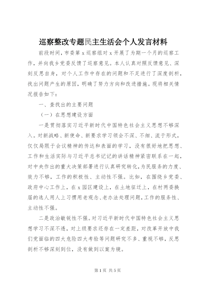 巡察整改专题民主生活会个人发言材料.docx