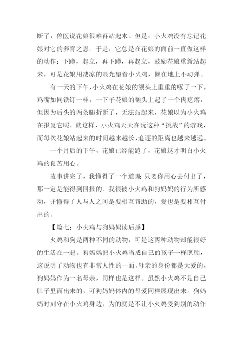 小火鸡与狗妈妈读后感500字.docx
