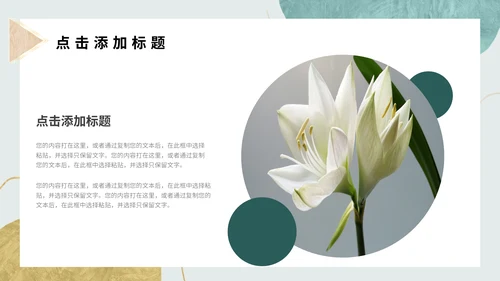小清新初夏时光通用PPT模板